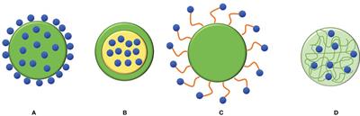 Essential Oils and Their Formulations for the Control of Curculionidae Pests